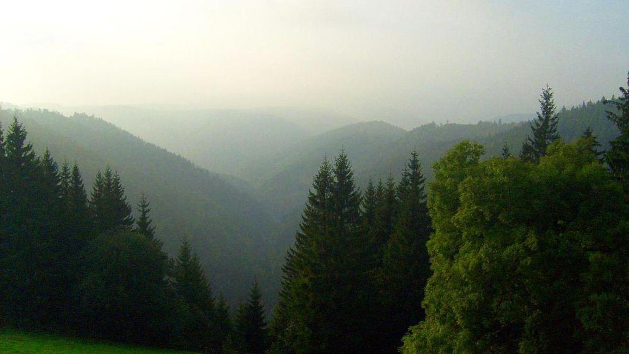 Schwarzwaldgasthaus Linde Schramberg Εξωτερικό φωτογραφία