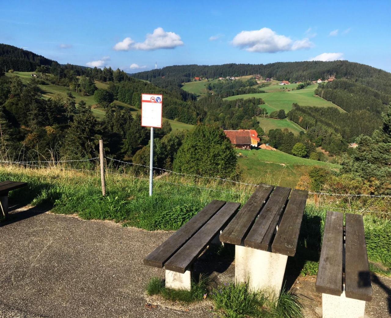 Schwarzwaldgasthaus Linde Schramberg Εξωτερικό φωτογραφία